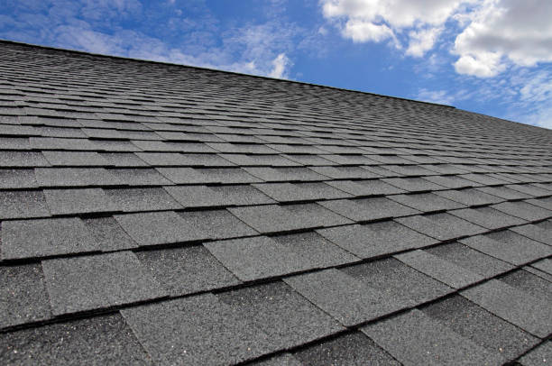 Best Roof Ventilation Installation  in Worthington Hills, KY